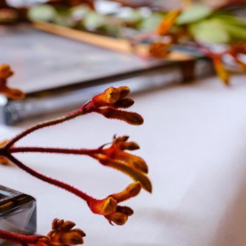 Viðurkenningarskjal í ramma á borði með blómaskreytingu í haustlitum